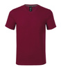 Koszulka męska slim-fit w serek Malfini PREMIUM 180 g/m² Action V-neck 700 dopasowana 95 % bawełna